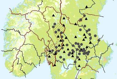 Protokoll for møte i Rovviltnemnda 16. juni 2017 Side 9 av 17 Det er ikke entydig påvist ulv i regionen siden fellingen i Aust-Agder i oktober 2016.