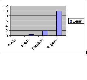 Folldal synes de har dårlig råd, Rendalen, Alvdal og Koppang har passe råd. Alle deler ønsket om at alle klasser bør ha så mange datamaskiner at to elever kan dele en datamaskin.