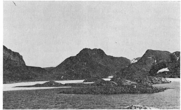 \ Fig. 3. Koloni I og Il i undersøkelsesområdet, Bangenhukhalvøya (79 35' N). Colonies I and Il in the study area, Bangenhuk peninsula.