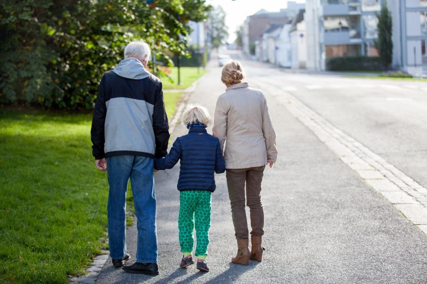 Aktivitet og fellesskap Utfordringer: Ensomhet Inaktivitet og ikke tilpassede aktivtietstilbud Manglende ivaretakelse av sosiale, kulturelle og eksistensielle behov Lite systematisk samarbeid med