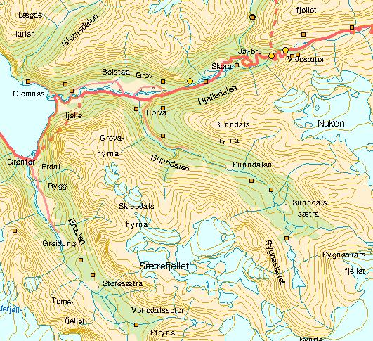 Erdalen: Alm Elm Ulmus glabra NT Brudespore Fragrant orchid Gymnadenia conopsea NT Issoleie Glacier