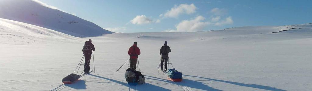 NAMDAL DAT O TURMÅL VARIGHET VANSKELIGHETSGRAD TURLEDER ANNET Fredag 31. august - søndag 2. september Topptur til Jetnamsklompen, 1513 moh, Børgefjell 2,5 dager Krevende Asgeir Langås, tlf.