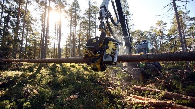 Skogbruksplanlegging- et grunnleggende verktøy Skogpådriver i Lensa har vært viktig for å få gjennomført et større «kystprosjekt» på skogbruksplanlegging i fire kommuner i Sør-Trøndelag og to