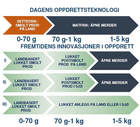 4 Utvikling og fremtidsutsikter Til tross for flere initiativ og prosjekter, inkludert pågående bygging av anlegg for landbasert produksjon av laks i Fredrikstad, ansees hoved-driveren bak landbasert