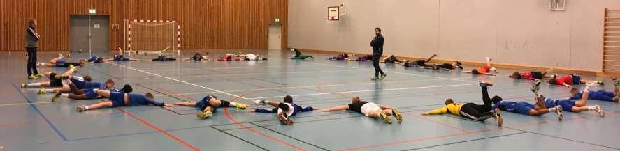 Basistrening Dale IL starta med basistrening 2011. Både Dale og Tertnes trenar to basisøkter i veka. I tillegg kjem basistrening inn i handballøktene.