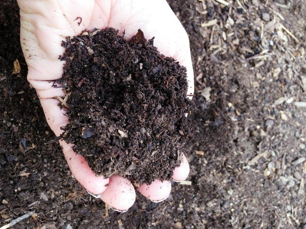 7 TORVFRIE ALTERNATIVER I følge Bioforsk og Avfall Norge er det mulig å erstatte all bruk av torv i jordprodukter med kompost. Det fins også andre alternativer. (Illustrasjonsfoto: uacescomm/flickr.