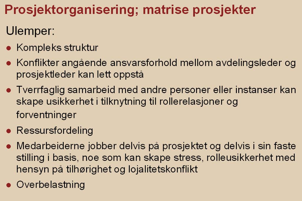 Intern organisering(selve prosjektet): Her er det i utgangspunktet 5 modeller.