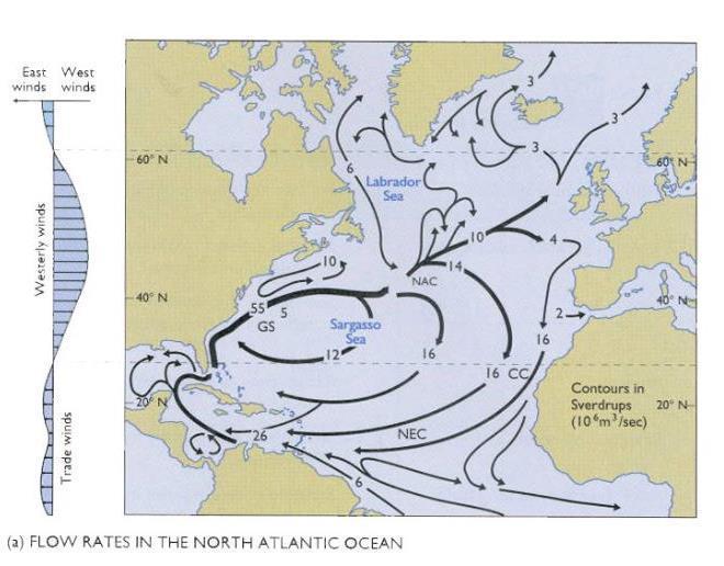 vinder og overflatestrømmer i Nord-Atlanteren.