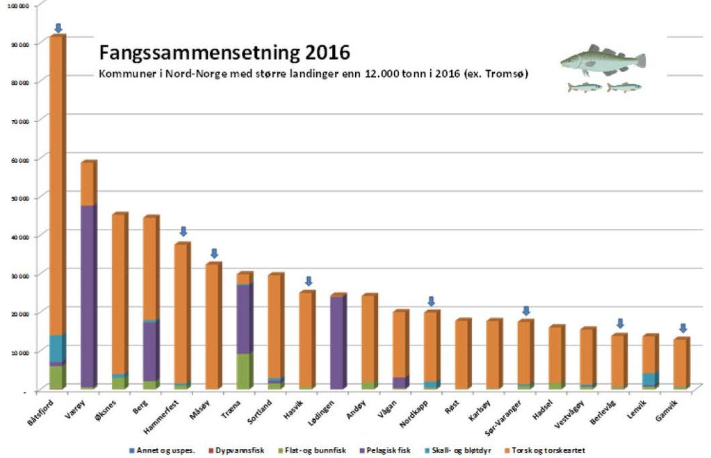 Man har ekskludert Tromsø i figuren av rene visualiseringshensyn, da Tromsø hadde nærmere 3 ganger større landinger enn nest største havnekommune