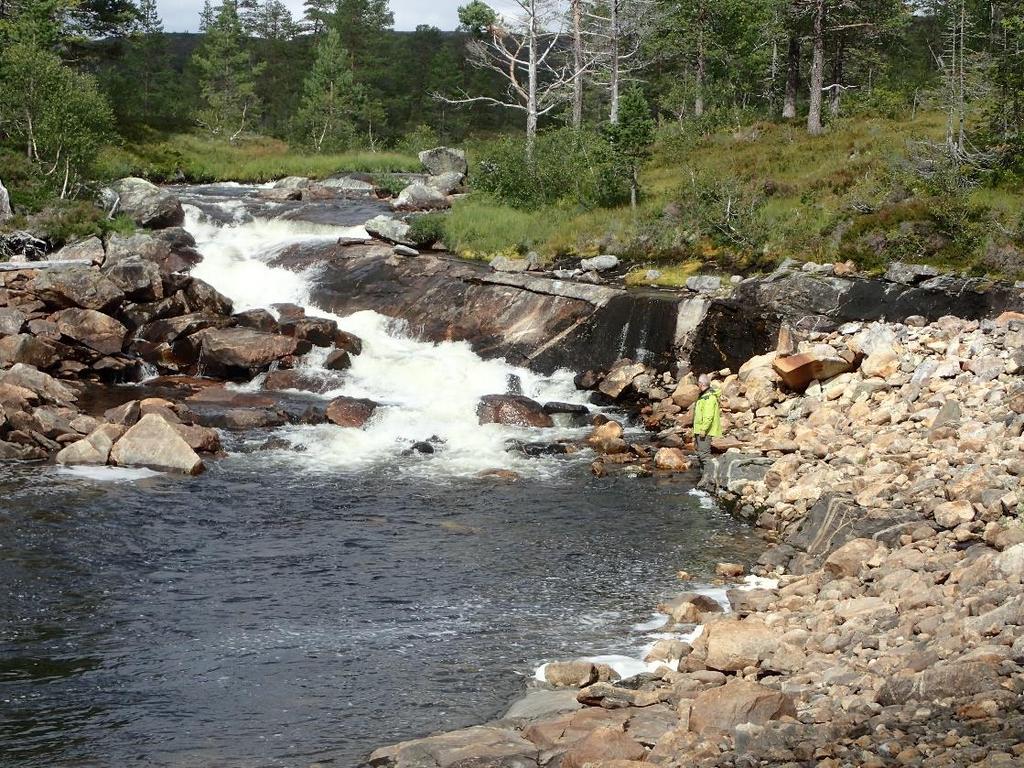 Bilde: Roppa ved utløp i Samsjøen. Ballbekken Ballbekken renner inn nordøst i Samsjøen og har sitt utspring fra Nedre Balltjønna. Bekken er 1-2 m bred og veksler mellom små stryk og høler.