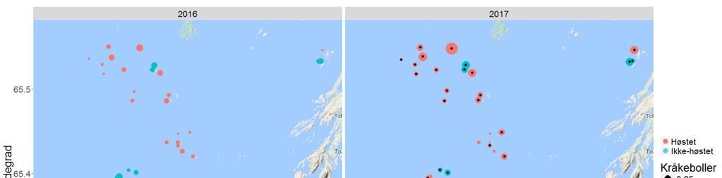 Figur 38. Kråkebolleforekomst på videostasjoner i Nordland som ble undersøkt både i 216 (venstre panel) og 217 (høyre panel).