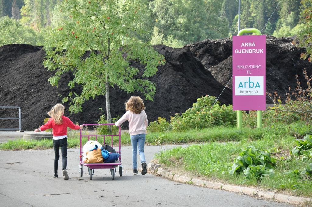 Miljø, idrett og kultur Viktige innsatser