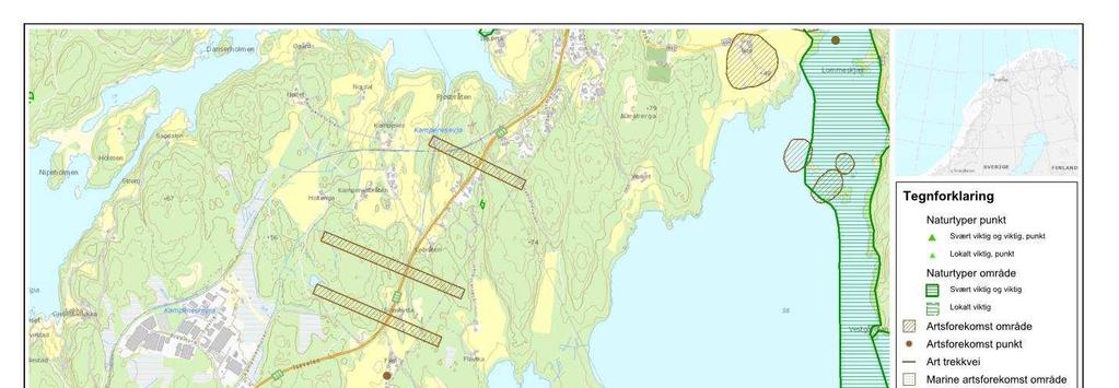 1 Område 1 (Holteskogen) Det er ikke registrert viktige eller svært viktige naturtypelokaliteter eller andre