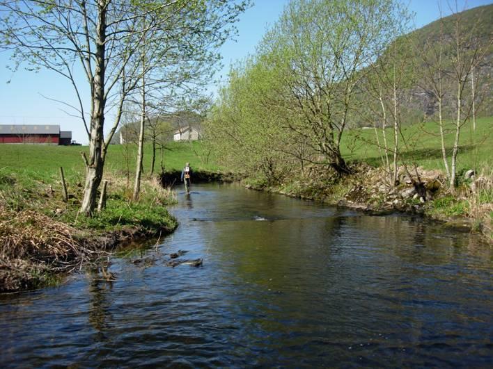 4. REDALSELVA I NAUSTDAL Redalselva (UTM 32V 0313812-6822184) ligg på nordsida av Førdefjorden i Naustdal kommune, renn vestover og munnar ut i Liavika.