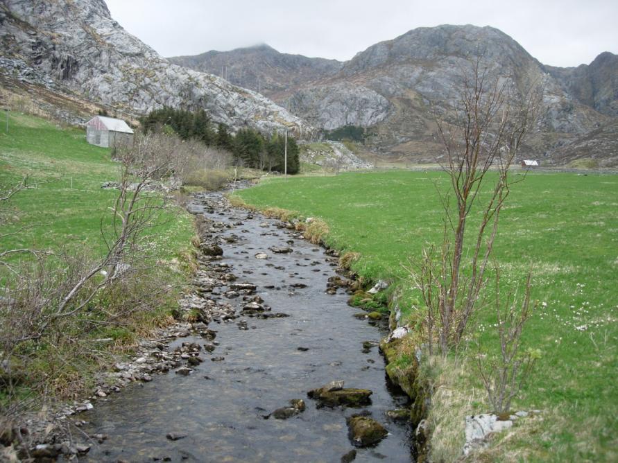 10. DALEELVA I DALSBOTN, BREMANGER Elva (UTM 32V 0292623-6864633) er ca. 5 m brei og har substrat av stein grus og sand. Det var låg vassføring og rolige straumforhold 4.