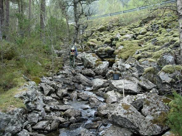 23. POLLAVIKELVA - POLLEN I INDRE EIKEFJORDEN, FLORA Pollavikelva (UTM 32V 0307227-6831800) renn i stryk gjennom ur nedst mot sjøen.