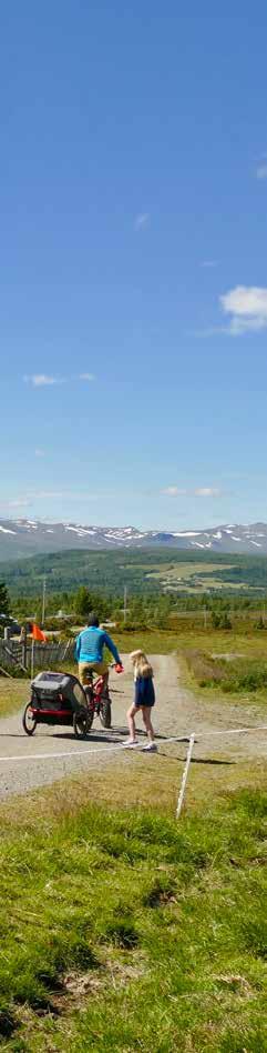 Om boka Boka er basert på mine egne erfaringer som syklist i disse fine fjellområdene. Golsfjellet og Valdres er et sykkeleldorado blant fjell og kulturlandskap.