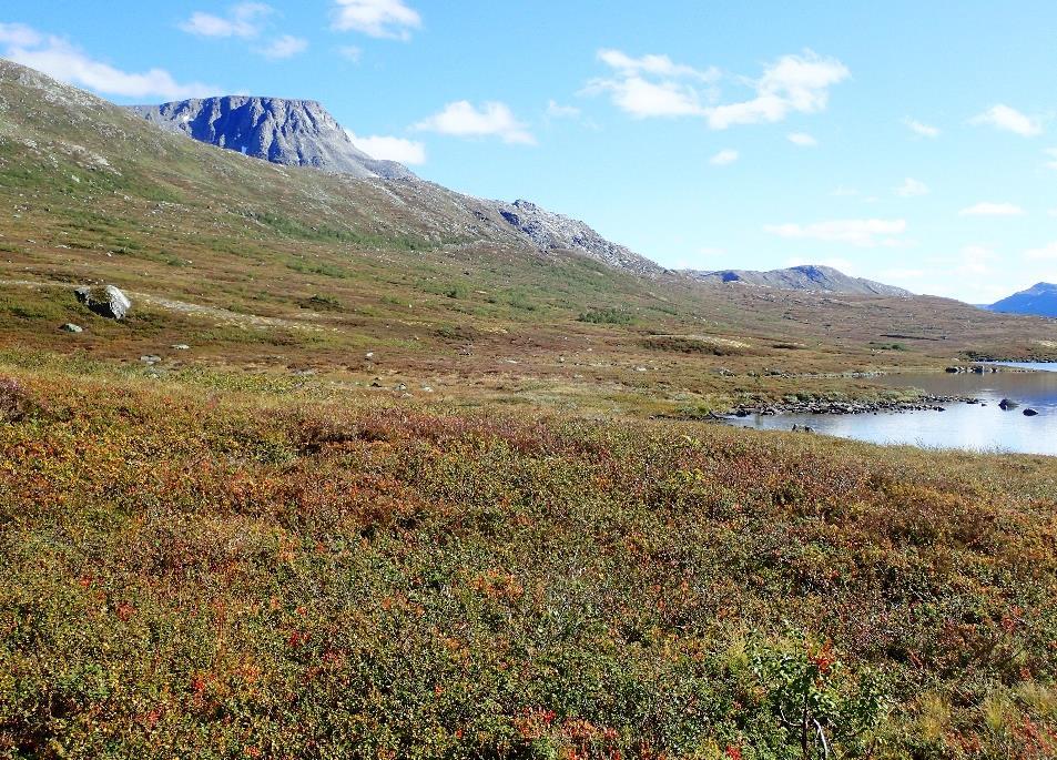 områder i Trollheimen i 2017