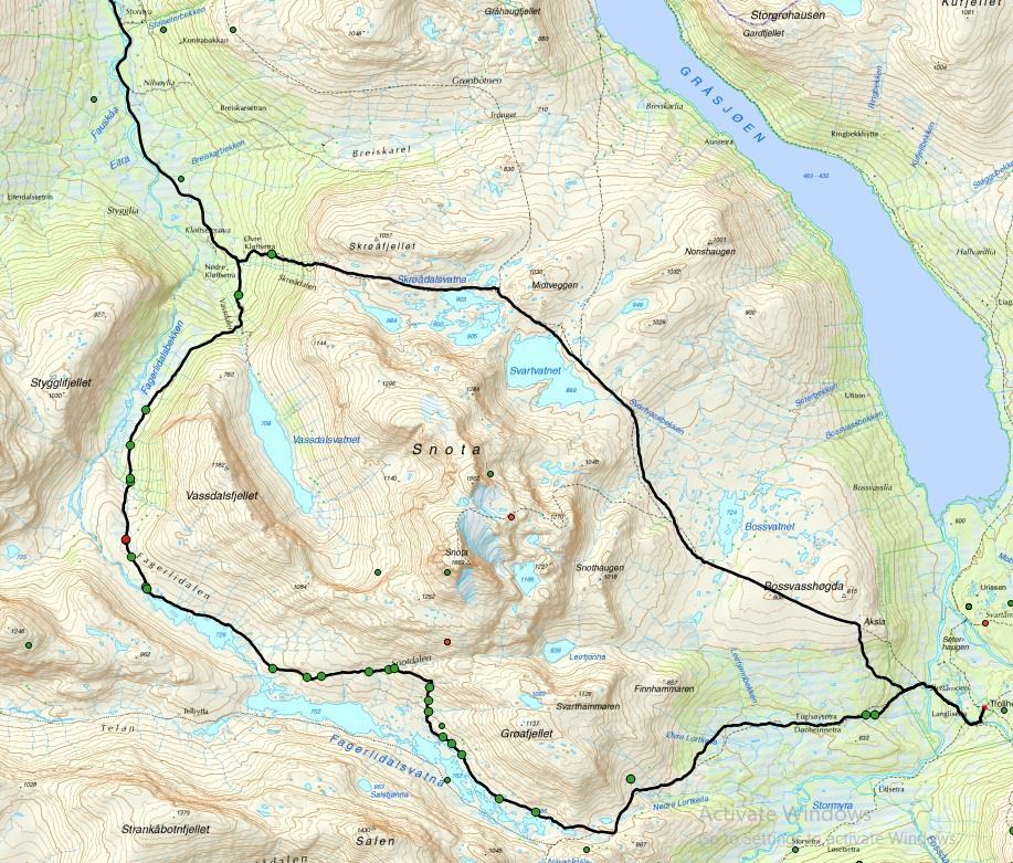 Ryggen av Heimre men: bleikrublom, blindurt, brudespore, buefrytle, dovrerublom, dubbestarr (NT), fjellhvitkurle, fjellkurle, fjellkveke, fjellmarinøkkel, fjellnøkleblom, fjellvalmue, grannarve,