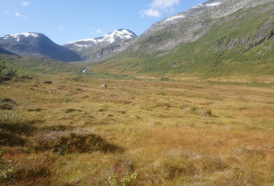 Vindøldalen mot Fagerlidalen.