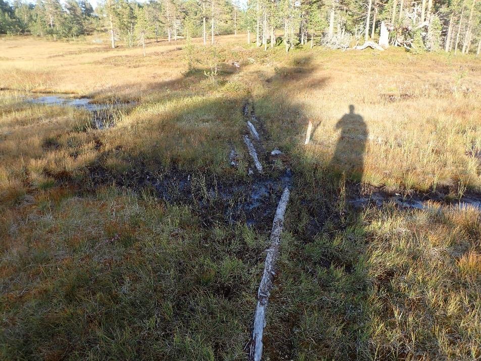 myrer med enkelte treplanker.