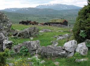 Bli med på sommertur til Huldreheimen, Jotunheimens forgård Odd F. Tangen blir også i 2014 turleder for sommerturen. Årets tur blir noe mindre dramatisk enn fjorårets.