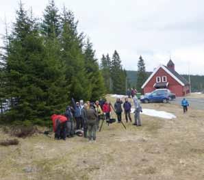 Visste du dette om RT? Foreningen bygde Ringkollen Turiststue i 1894. Seinere påbygd fire ganger. Stor gjeld førte til salg i 1948. Brant ned i 1970. Medlemskapet var eksklusivt.