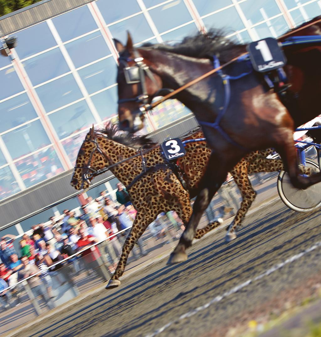 sprinter mästaren 6 & 8 juli