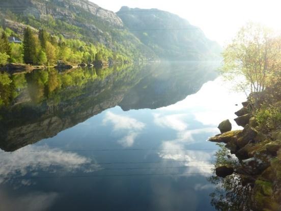 fiskehelse og fiskevelferd