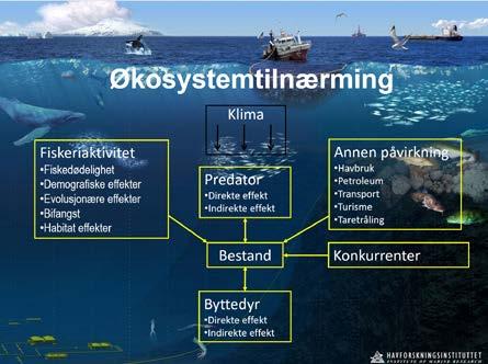 10 (2015-2016) Sjømatindustrimeldingen ble det fattet anmodningsvedtak hvor "Stortinget ber regjeringen utarbeide en opptrappingsplan for norsk bestands og ressursforskning med mål om å utvikle og