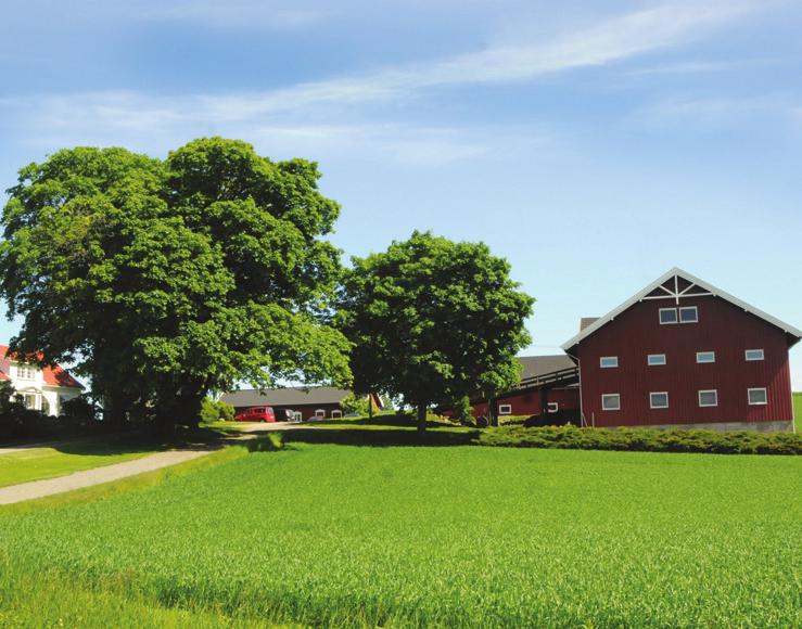 Hjermstad seminstasjon for bukker i Stange Seminstasjonen for bukker ble etablert