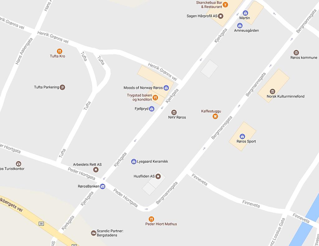 Figur 2 viser hva slags aktiviteter som er registert i «Google Maps» for sentrumsgatene i Røros.