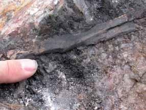 En 11x 1,5 cm lang allanitt-(ce) krystall med brun omvandlingkappe av Fe-oksyder og bastnäsitt (?). etter titanitt som hyppig forekommer i gangen består bl.a. av anatas (Brøgger 1906).