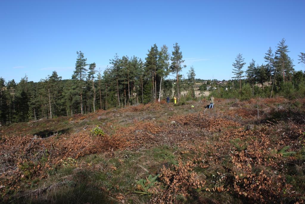 nr. 100/2,4 Råde kommune Figur 4: Flaten før Sett mot nord.