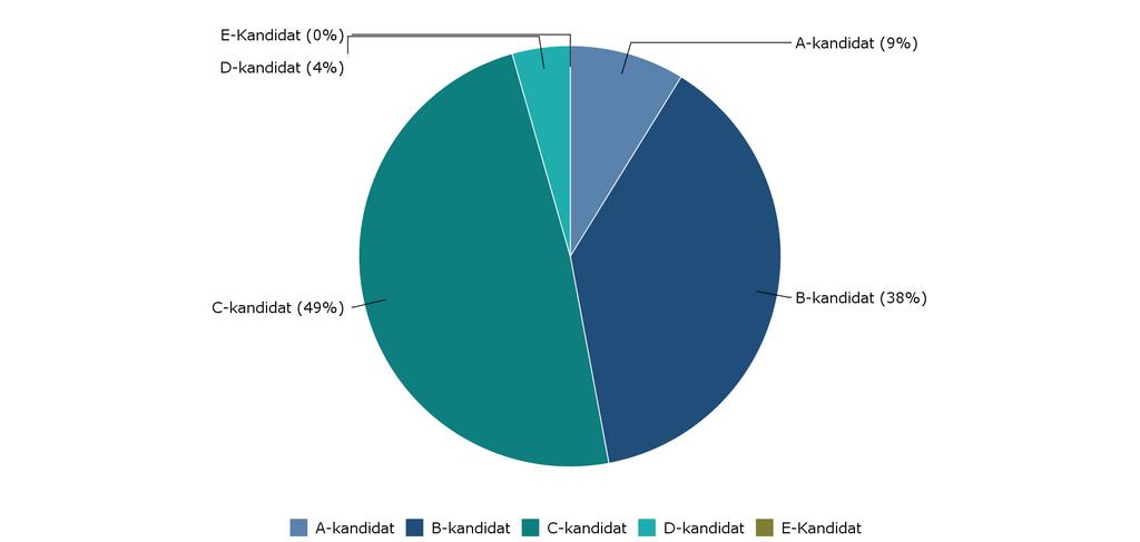 121 STUDIET Hvilken type kandidat