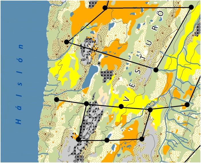 Gröfunum á 3. mynd er skipt í tvennt og eru áberandi færri hreiður í hópnum hægra megin en þau snið eru sýnd á 4. mynd. Sammerkt með þeim er að þau eru yst og vestast á svæðinu og virðist því gæsin vera að leita meira inn og austar á öræfin.