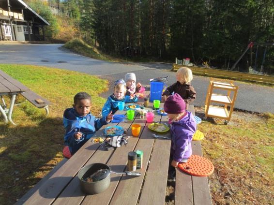 Bålmat Vi har laget kylling/lakse-wok på bålpanna med