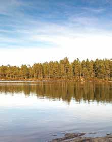 Arne Jan med familie n Hjertelig takk for minnegave gitt til Åfjord helsesenter, gr 4, i forbindelse Eli Karin Humstads begravelse.