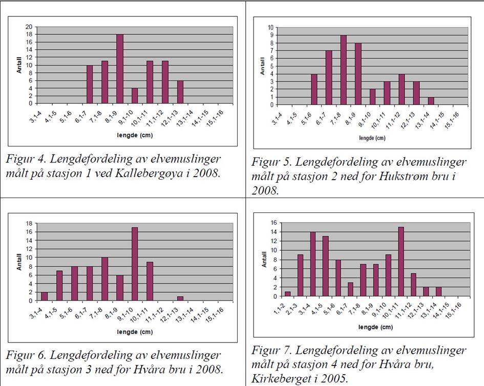 Resultater Formålet med undersøkelsen er å sammenlikne bestanden fra 2008 med dagens (2016).