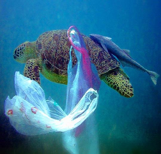 M AT E R NAT U R P L A S T E R I N D U S T R I Forbrukerne oppfatter plast som mer miljøskadelig enn matavfall Plast som