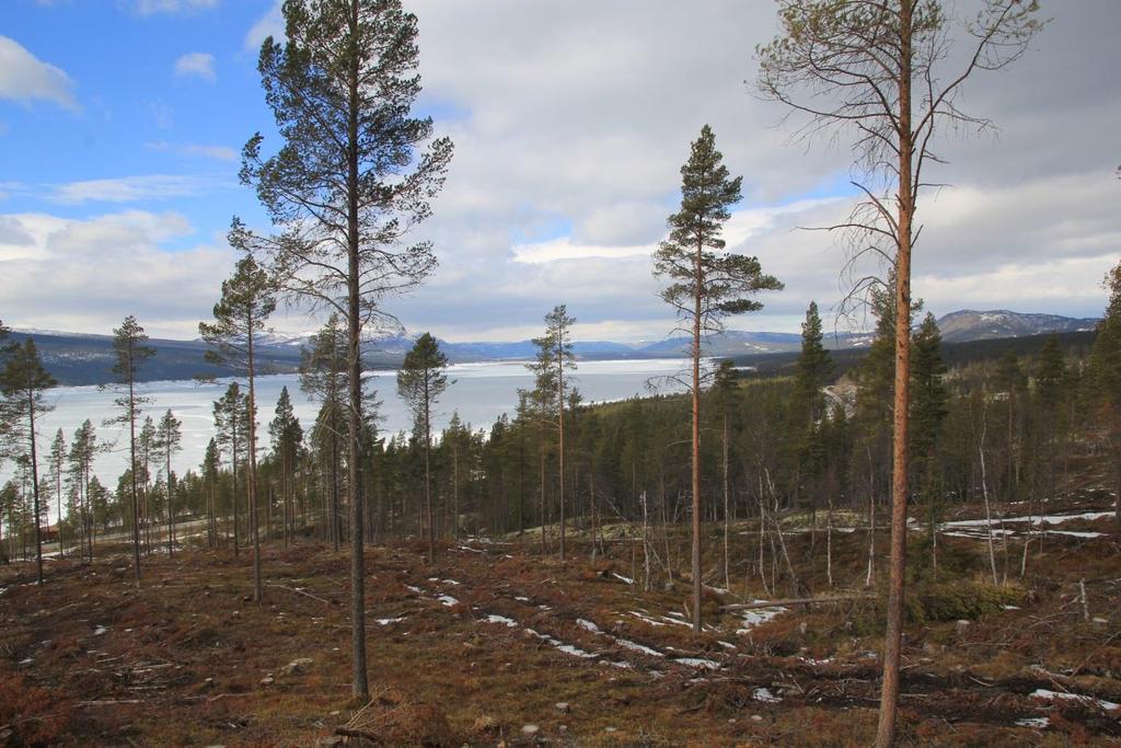 REGULERINGSPLAN HYTTEOMRÅDE, PÅ DEL AV EIENDOMMEN 198/9 I NORE OG UVDAL KOMMUNE.