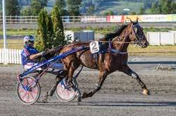 Salte Trener: Marius Høitomt Oppasser: Tommy Espeland Spor 9:.J.