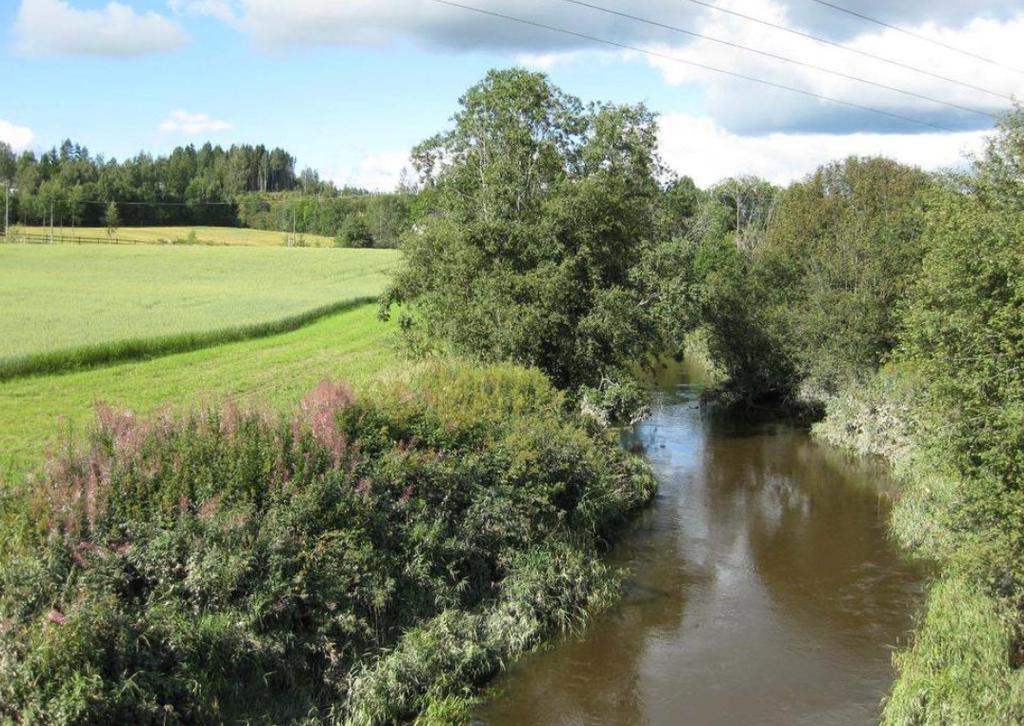 Kantvegetasjon Med kantvegetasjon menes her det viltvoksende og naturlige plantelivet langs vann og vassdrag.