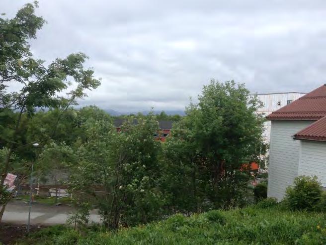 mellom boligene og nybygget varierer mellom 30-50 m. 30 m tilsvarer avstanden fra Studenthotellet til nærmeste bolig. Utsikt fra Knuthaugen i dag.