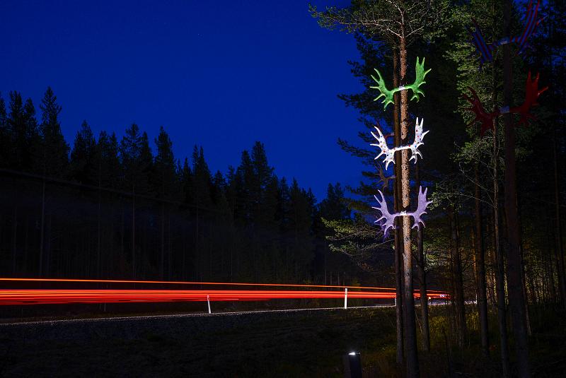 Trafikksikkerhet og elggevir Overføringsverdi?