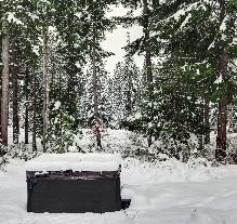 Vinterens snødekte trær som demper lyden av latteren, og kulda som biter i nesen og blir til dampene krystaller ut av munnen. Vi elsker det.