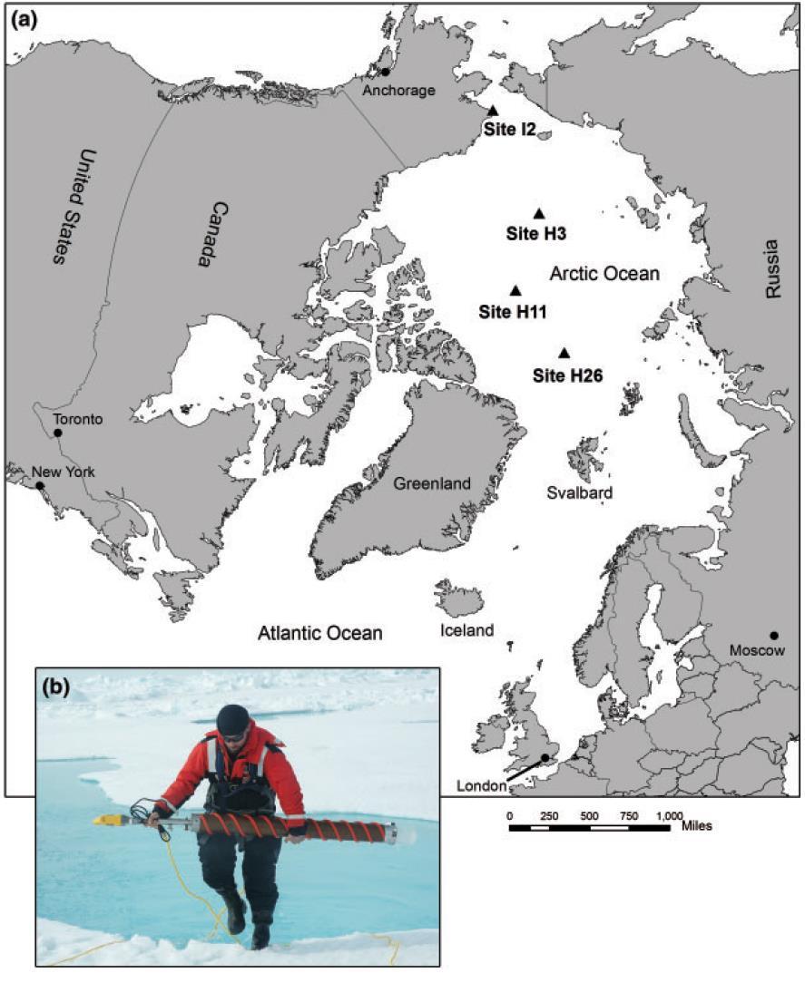 Mikroplast i sjøis I iskjerner fra polbassenget fant forskerne