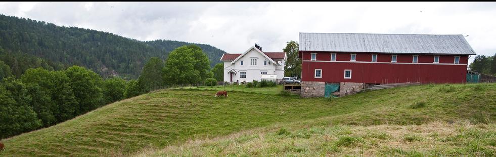 Det betyr at andel leiejord har økt.