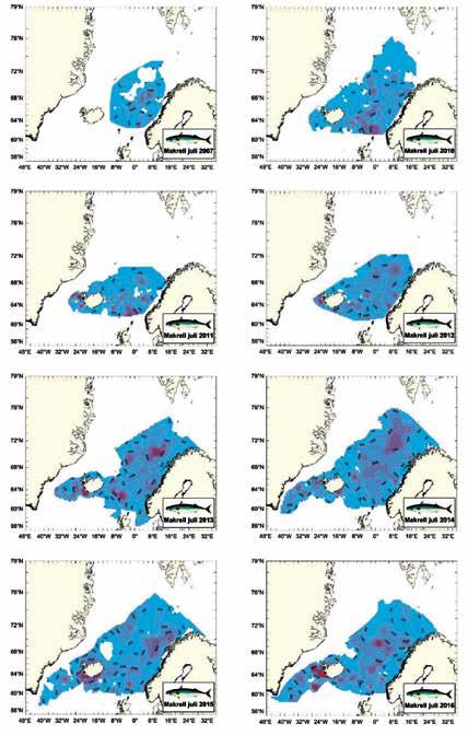 Figurene viser makrelleksplosjonen slik den har fortonet seg for makrellforskerne på IESSNStoktet i juli-august fra 2007 til 2016.
