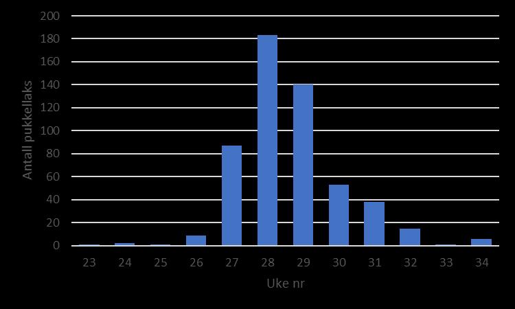 7.2 Pukkellaks/russerlaks Det er rapportert om fangst til sammen 965 pukkellaks på norsk side av Tanavassdraget i 2017. Det er ikke tidligere rapportert om tilsvarende mengder pukkellaks i fangstene.